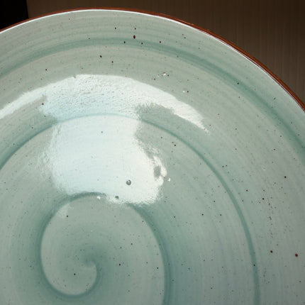 Leftover 11 inch Rimless Plate ( Teal Colorline )