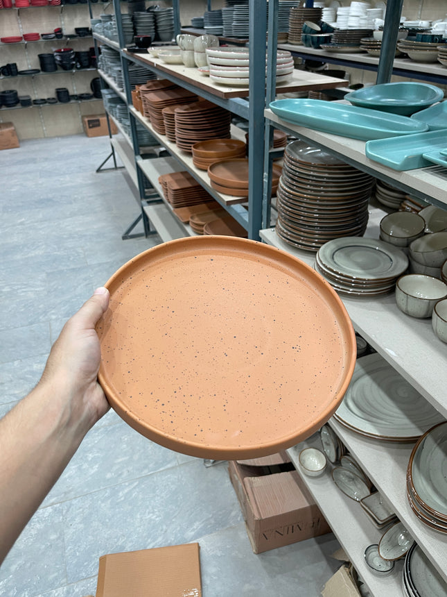 Leftover 10 inch Classic Plate ( Terracotta Matte with Black Specks )