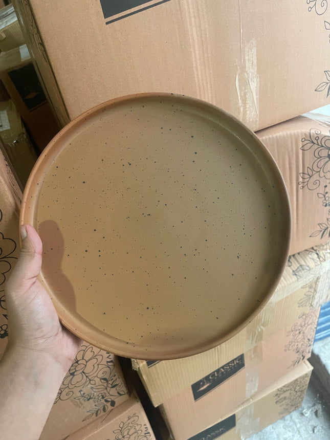 Leftover 10 inch Classic Plate ( Terracotta Matte with Black Specks )