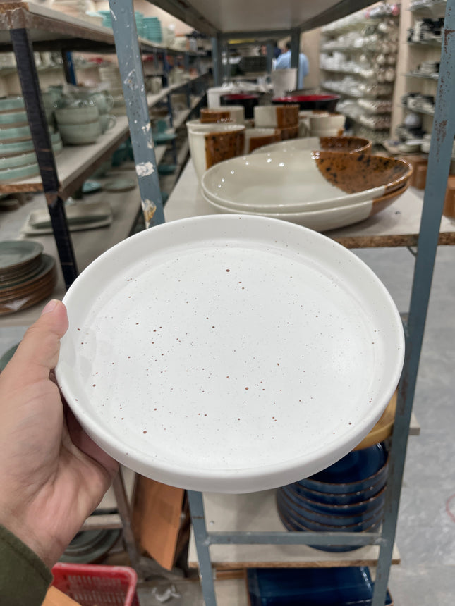 Leftover 8 inch Classic Plate ( White Matte with Brown Specks )