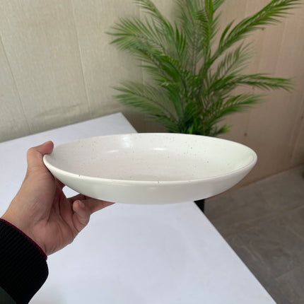 Leftover 10 inch Entree Bowl ( White Matte with Brown Specks )