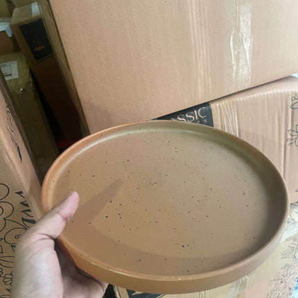 Leftover 10 inch Classic Plate ( Terracotta Matte with Black Specks )