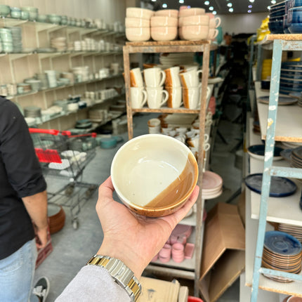 Leftover 5 inch Single Serving Bowl ( Sandstorm Series )