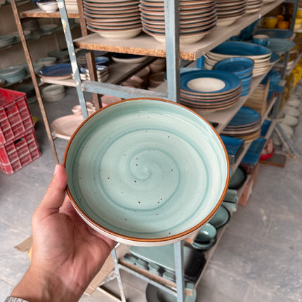 Leftover 8 inch Deep Classic Plate ( Teal Colorline )
