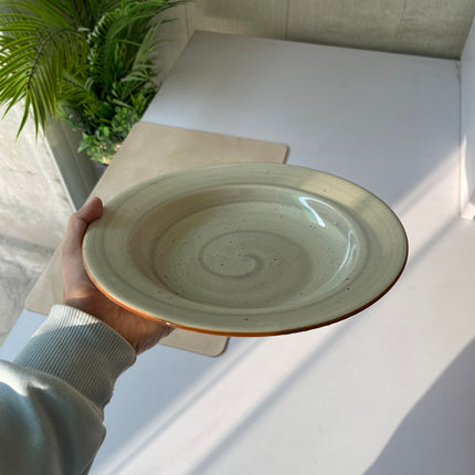 Leftover 10 inch Deep plate ( Grey Colorline )