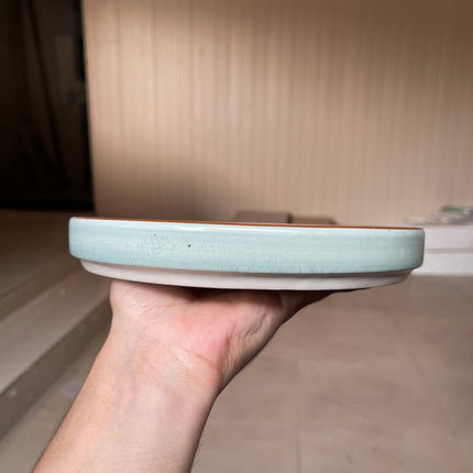 Leftover 8 inch Classic Plate ( Teal Colorline )