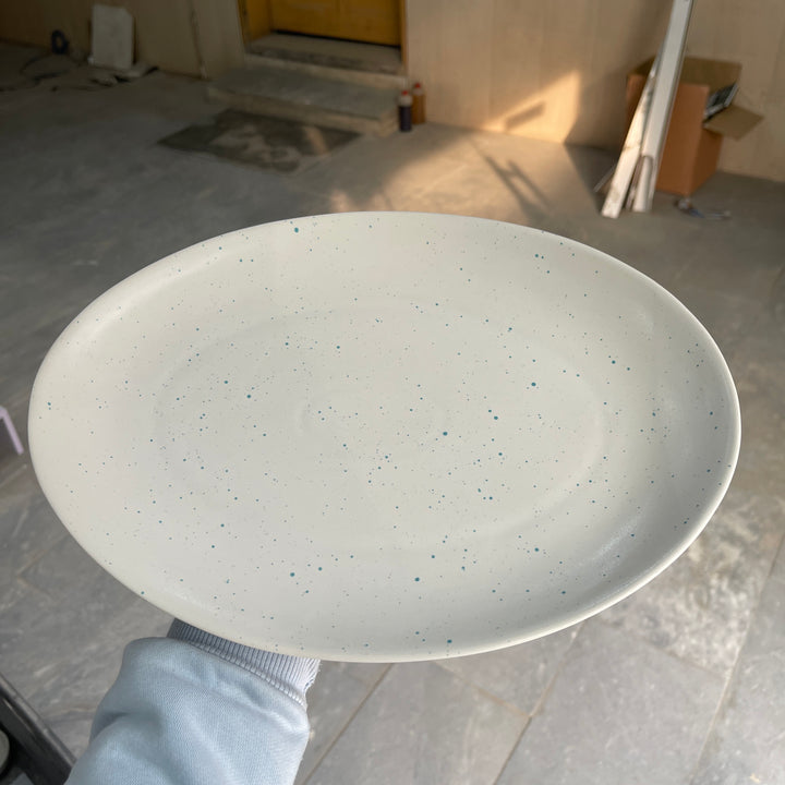 Leftover 13 inch Rimless Rice Dish ( Snow Breeze )