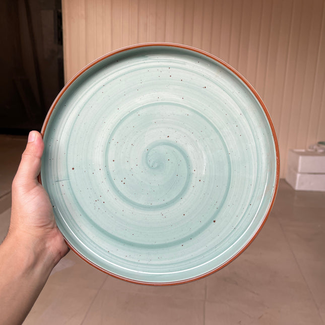 leftover 10 inch classic plate ( Teal Colorline )