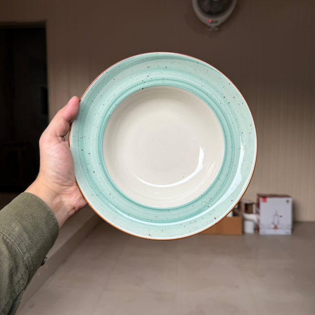 Leftover 9 inch Deep wide Plate ( Breeze )