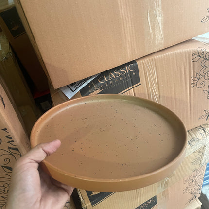Leftover 10 inch Classic Plate ( Terracotta Matte with Black Specks )