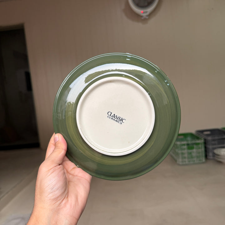 Leftover 8 inch Rimless Plate ( Outer Dark Green Colorline )