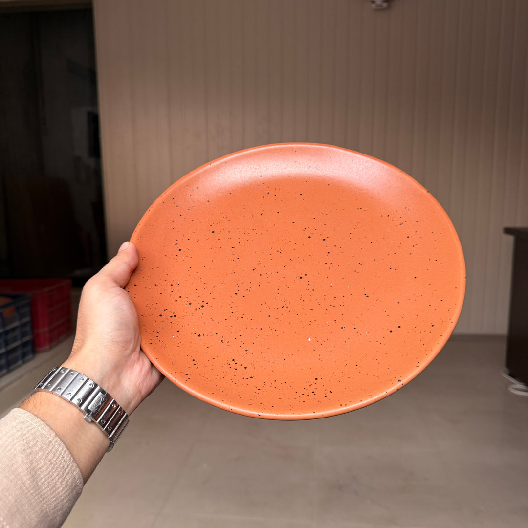 Leftover 11 inch Rimless Plate ( Terracotta matte with black specks ) ( Set of 6 )