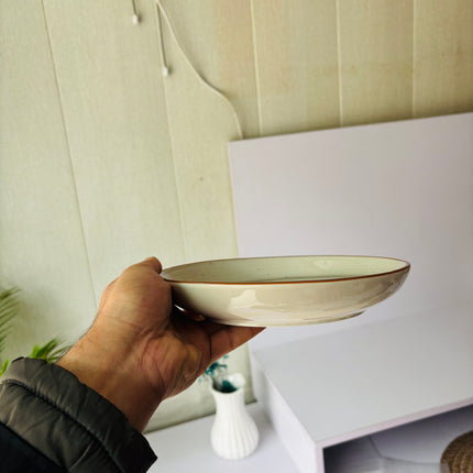 Leftover 8.5 inch Entree Bowl ( Grey Colorline )