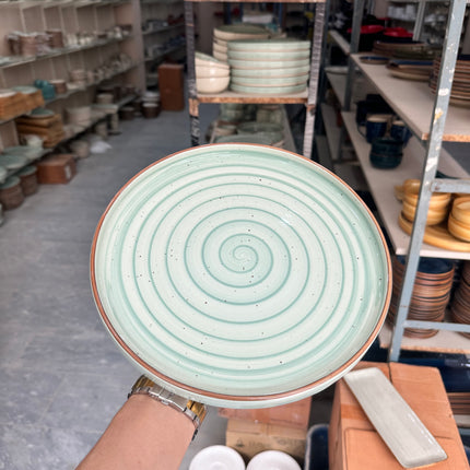 Leftover 10 inch Classic Plate ( Narrow Teal Colorline Brown Line Brown Specks