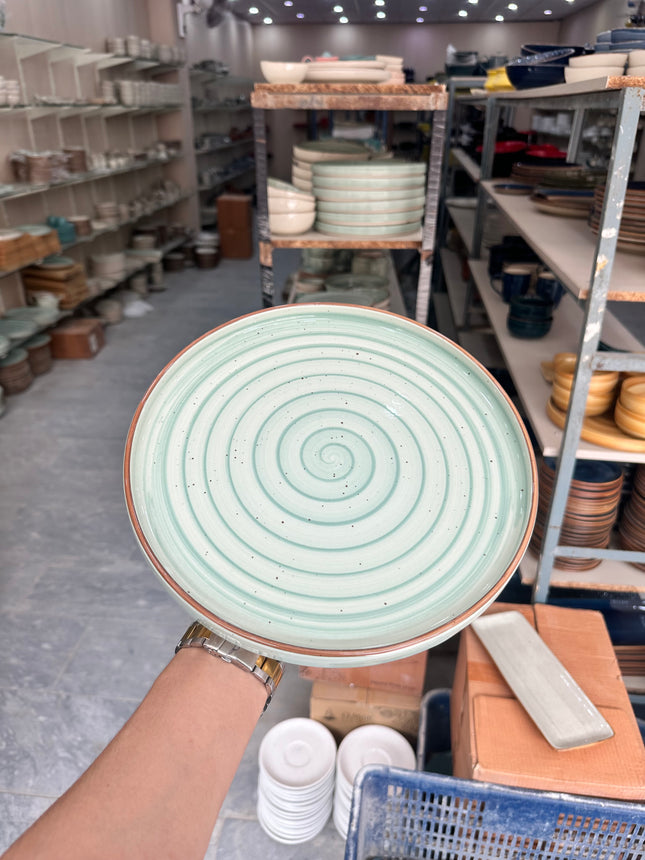 Leftover 10 inch Classic Plate ( Narrow Teal Colorline Brown Line Brown Specks