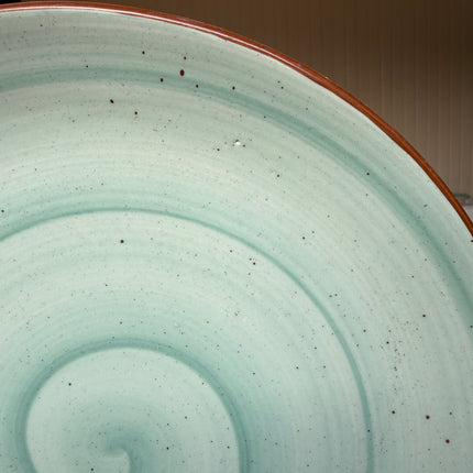 Leftover 11 inch Rimless Plate ( Teal Colorline )