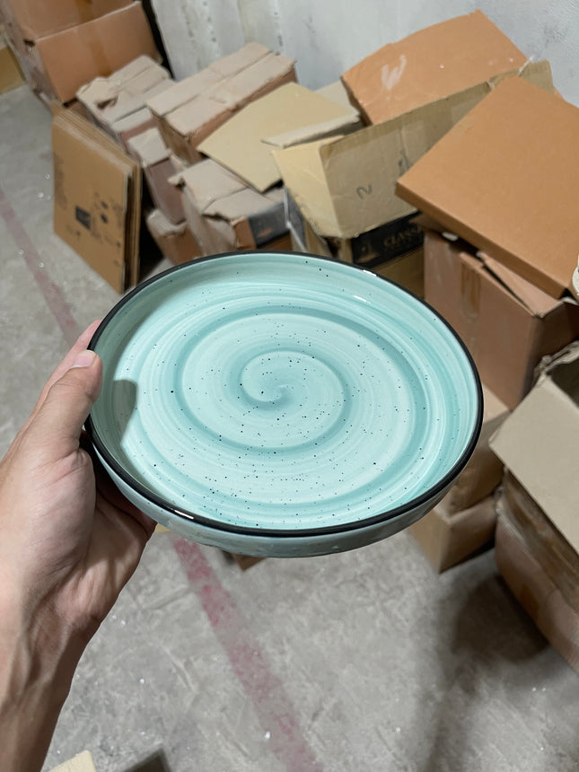 Leftover 8 inch Classic Plate ( Teal Colorline with Black line )