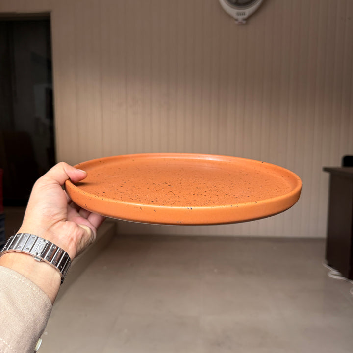 Leftover 12 inch Classic Plate ( Terracotta matte with black specks )