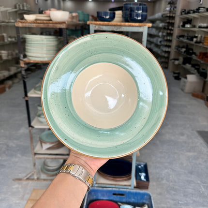 Leftover 9.5 inch Pasta Plate ( Teal Colorline Brown line )