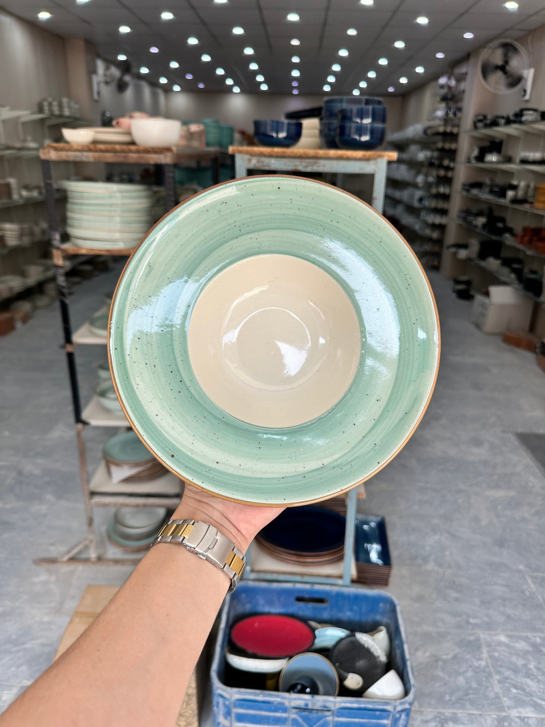 Leftover 9.5 inch Pasta Plate ( Breeze with brown rim )