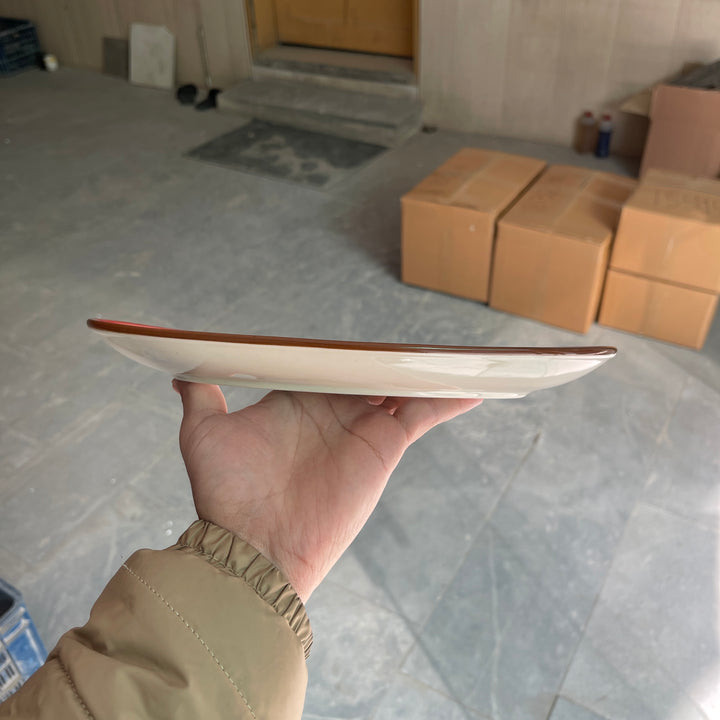 Leftover 11 inch Rimless Rice Dish ( Red Colorline )