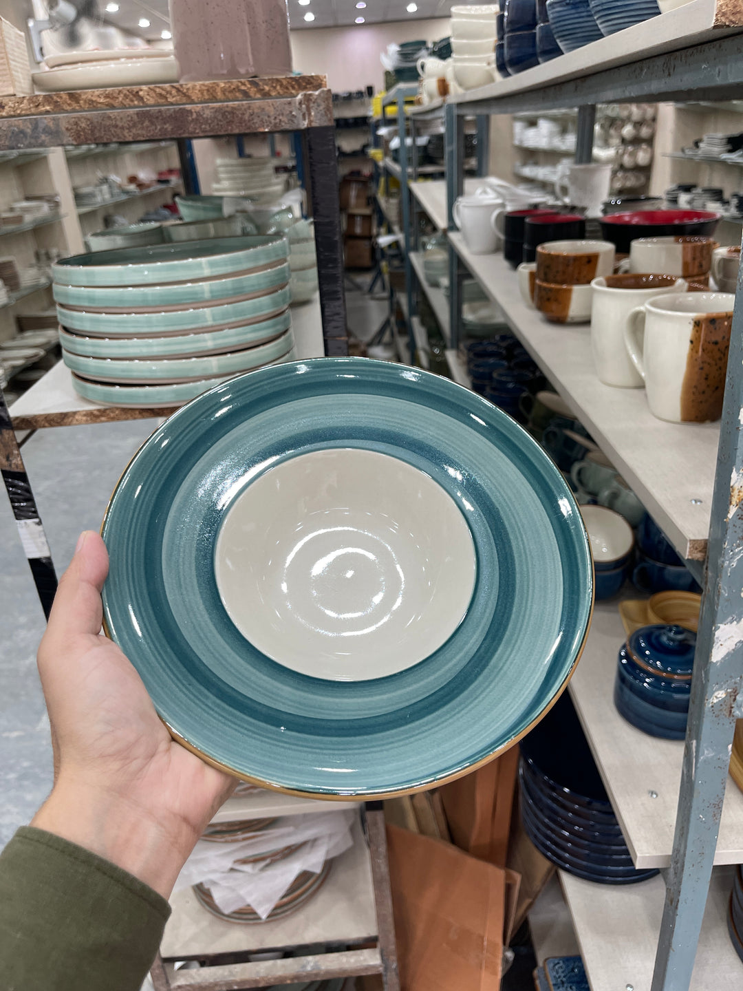 Leftover 9.5 inch Pasta Plate ( Peacock Green Brown line )