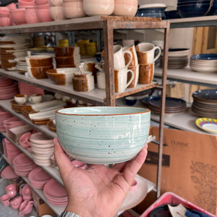 Leftover 6 inch Noodle Bowl ( Teal Colorline )