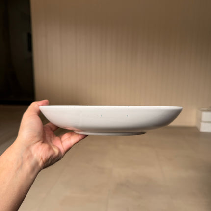 Leftover 10 inch Entree Bowl ( White Matte with Teal Specks )