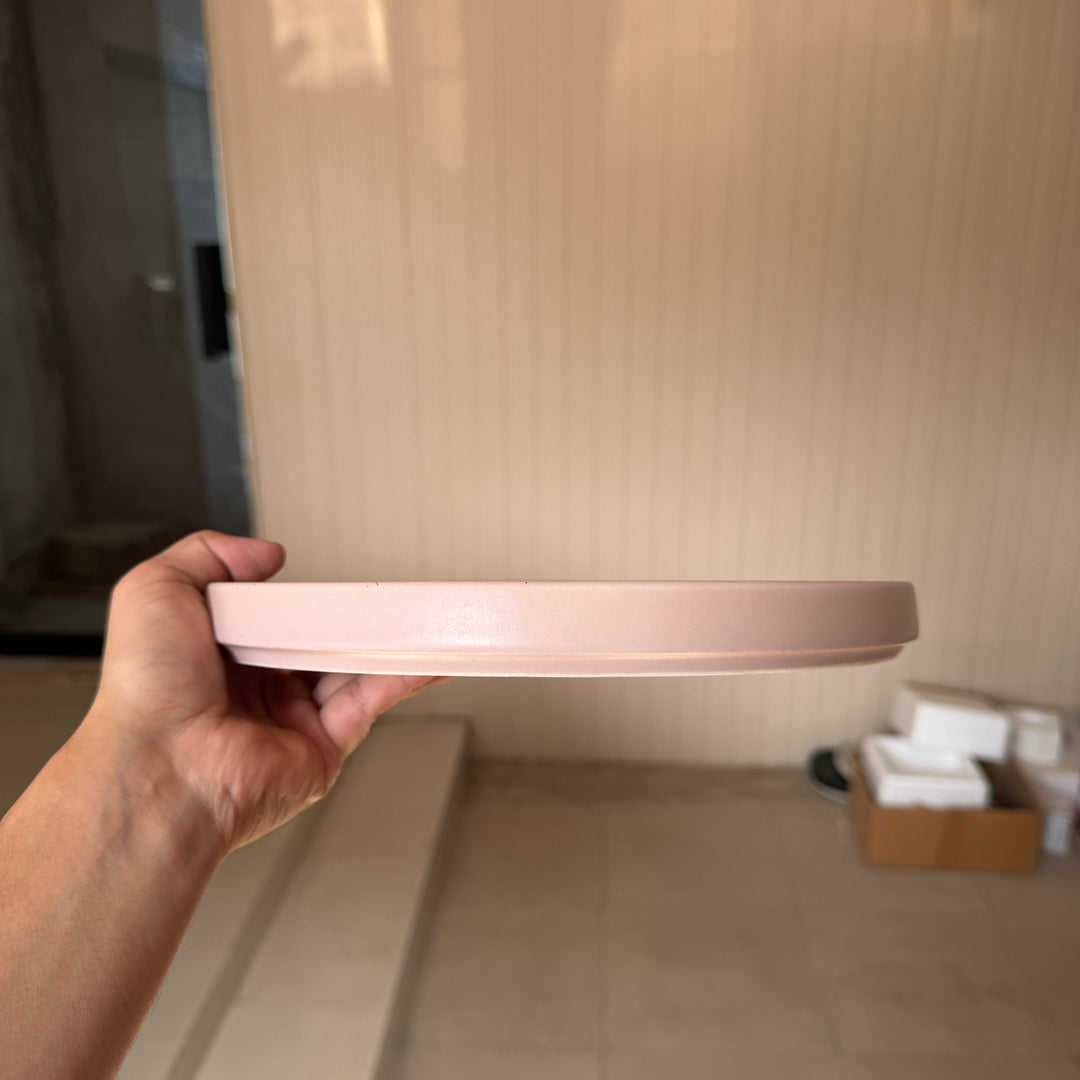 Leftover 10 inch Classic Plate ( Old Rose Matte )