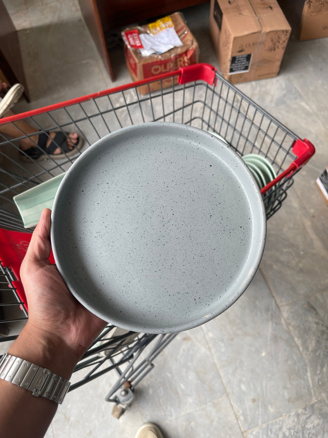 Leftover 8 inch Classic Plate ( Grey Matte with  Black Specks )