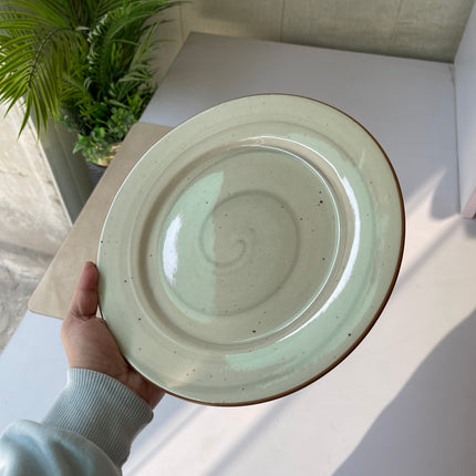 Leftover 10 inch Flat Plate ( Grey Colorline )
