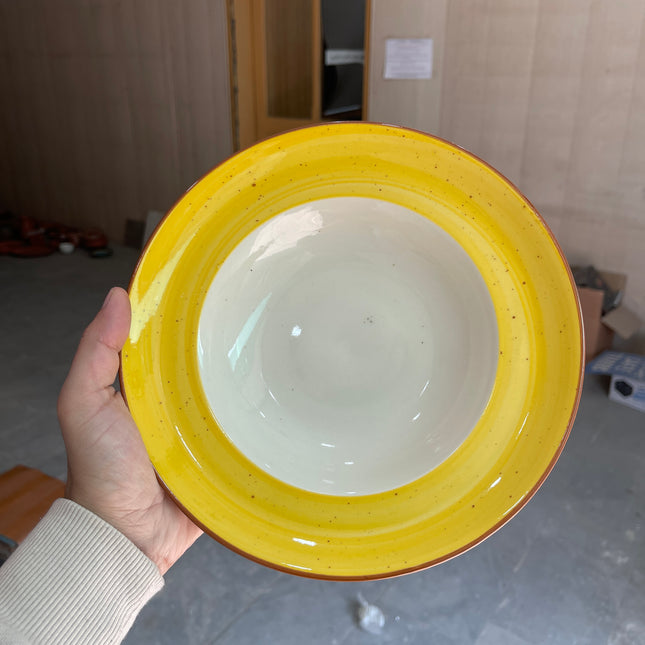 Leftover 9 inch Deep wide Plate ( Yellow Colorline )