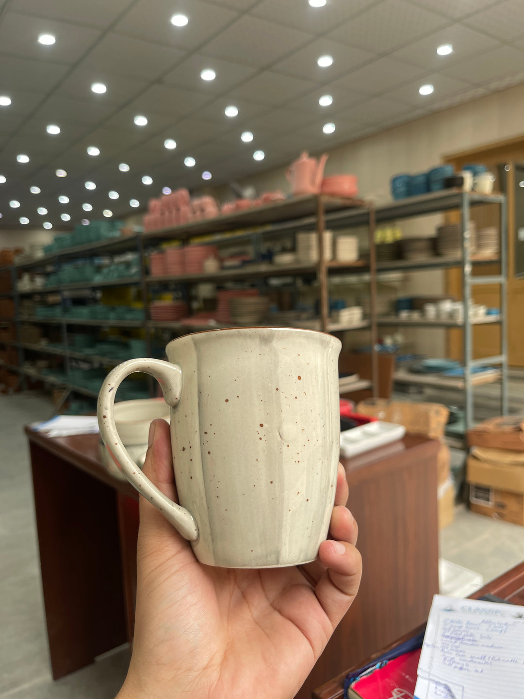 Leftover 005 Mug ( Ash ) ( 350 ml )
