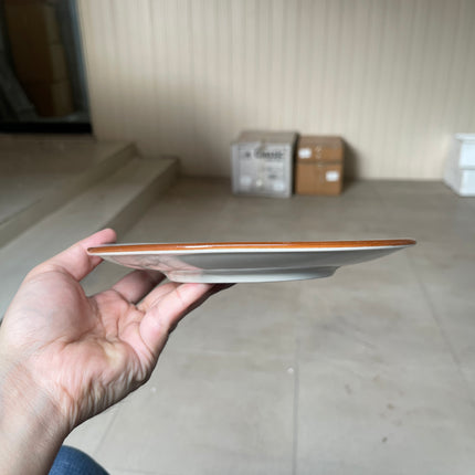 Leftover 7.5 inch Spiral Plate ( Grey colorline )