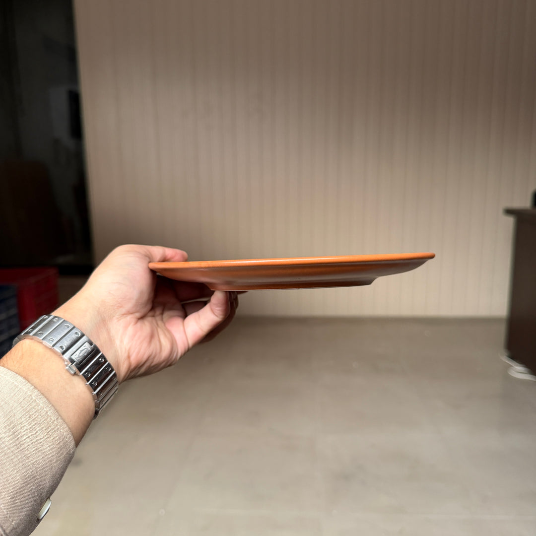 Leftover 8 inch Rimless Plate ( Terracotta matte ) ( Set of 6 )