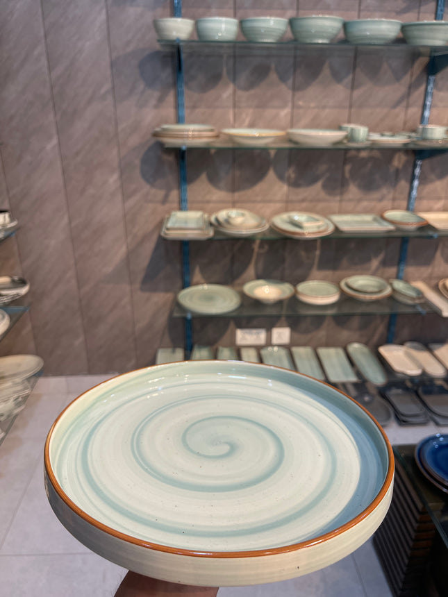 Leftover 10 inch Classic Plate ( Teal Colorline )
