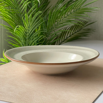 9 inch Deep wide plate ( Grey Colorline )