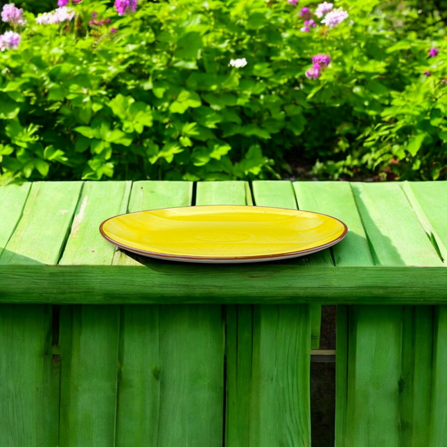 11" Rimless Rice Dish ( Yellow Colorline )