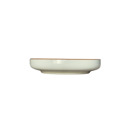 8 inch Classic Bowl ( Teal Colorline )
