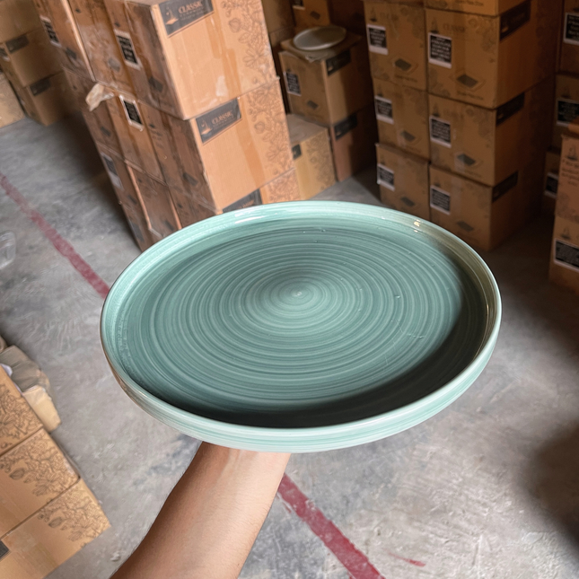 Leftover 12 inch Classic Plate ( Teal Colorline )