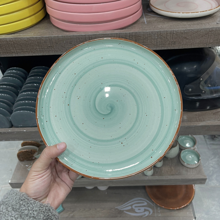 Leftover 10 inch Lite Classic Plate ( Teal Colorline )