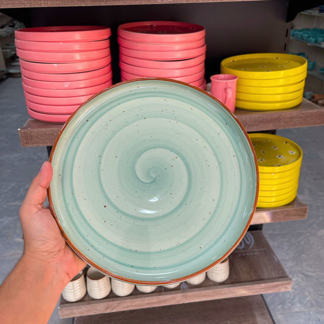 leftover 10 inch classic plate ( Teal Colorline )