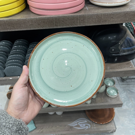 Leftover 8 inch Lite Classic Plate ( Teal Colorline )