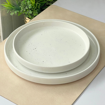 22 Pieces Dinner Set ( 4 Persons ) ( White Matte with Brown Specks )
