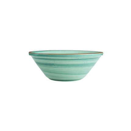 7 inch V Shaped Bowl ( Teal Colorline )