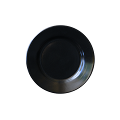 Collection image for: Flat Plates with Rim