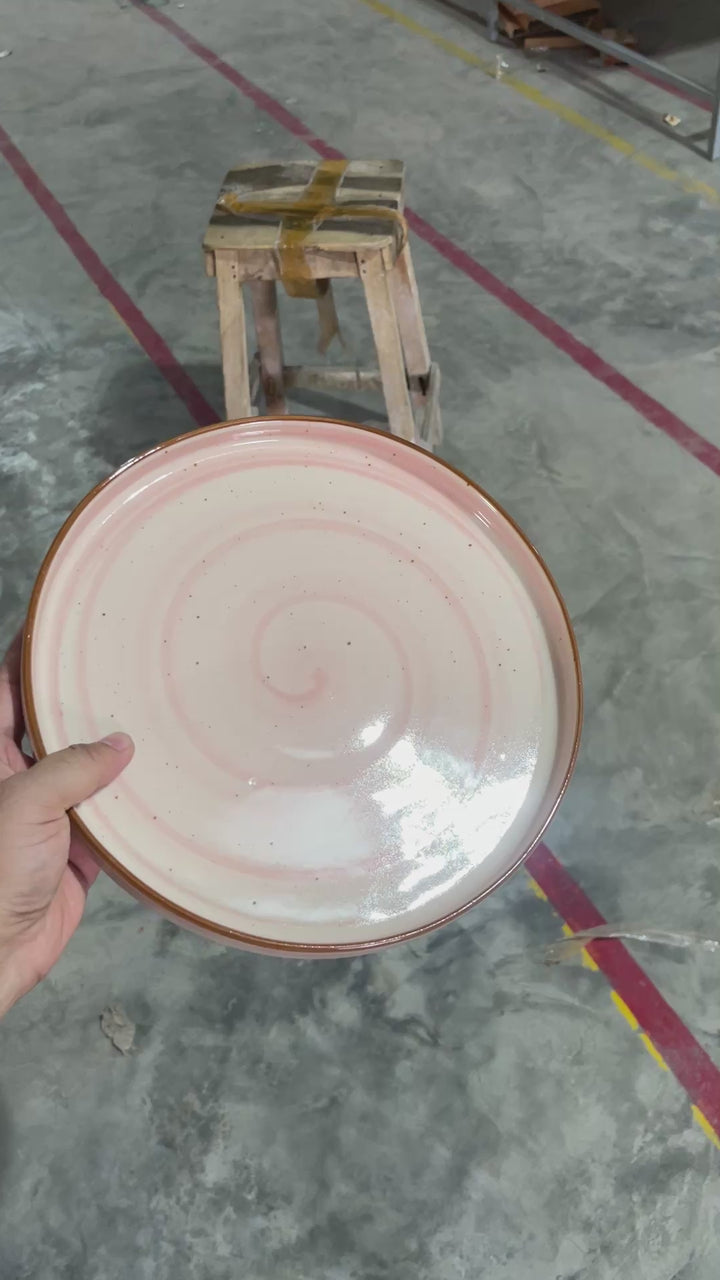 Leftover 10 inch Classic Plate ( Rosewater )