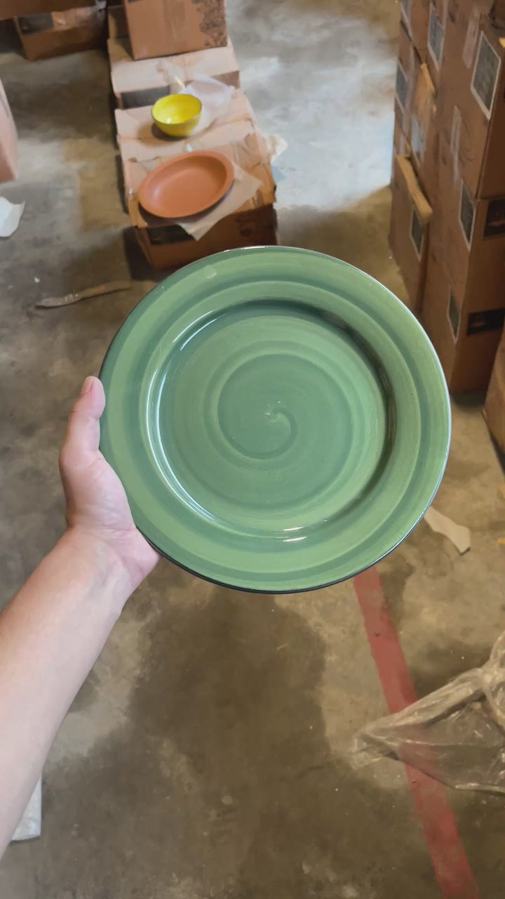 Leftover 10 inch Flat Plate ( Dark Green Colorline with Black Line )