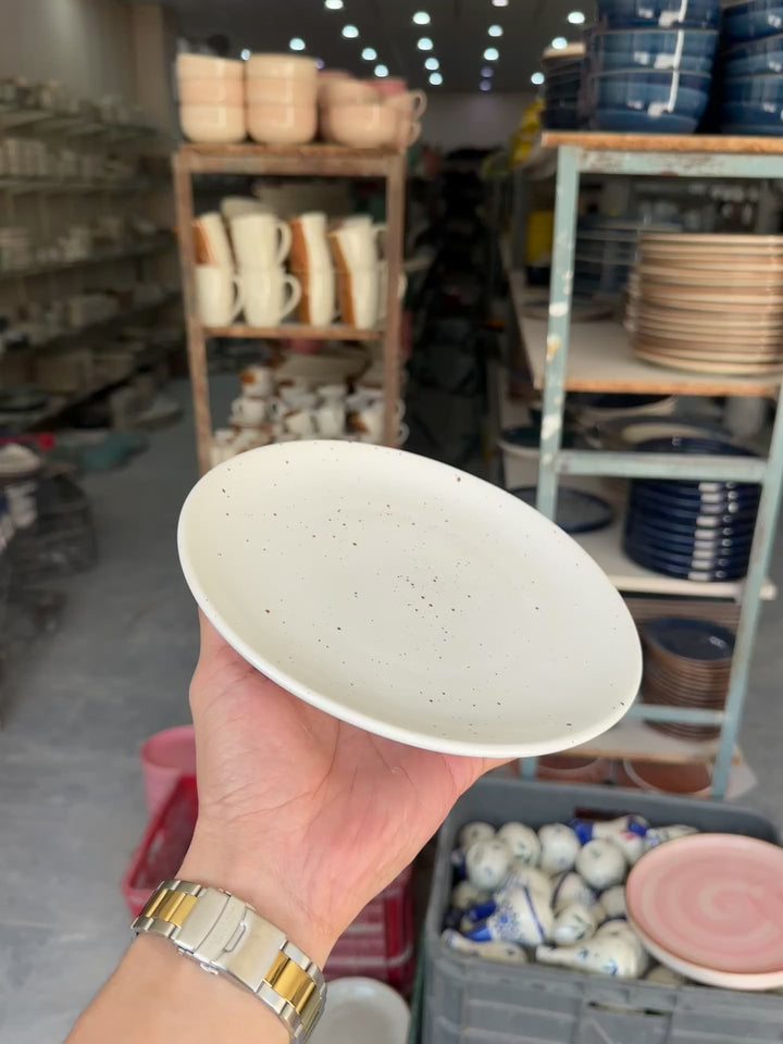 Leftover 8 inch Rimless Plate ( White Matt Brown specks