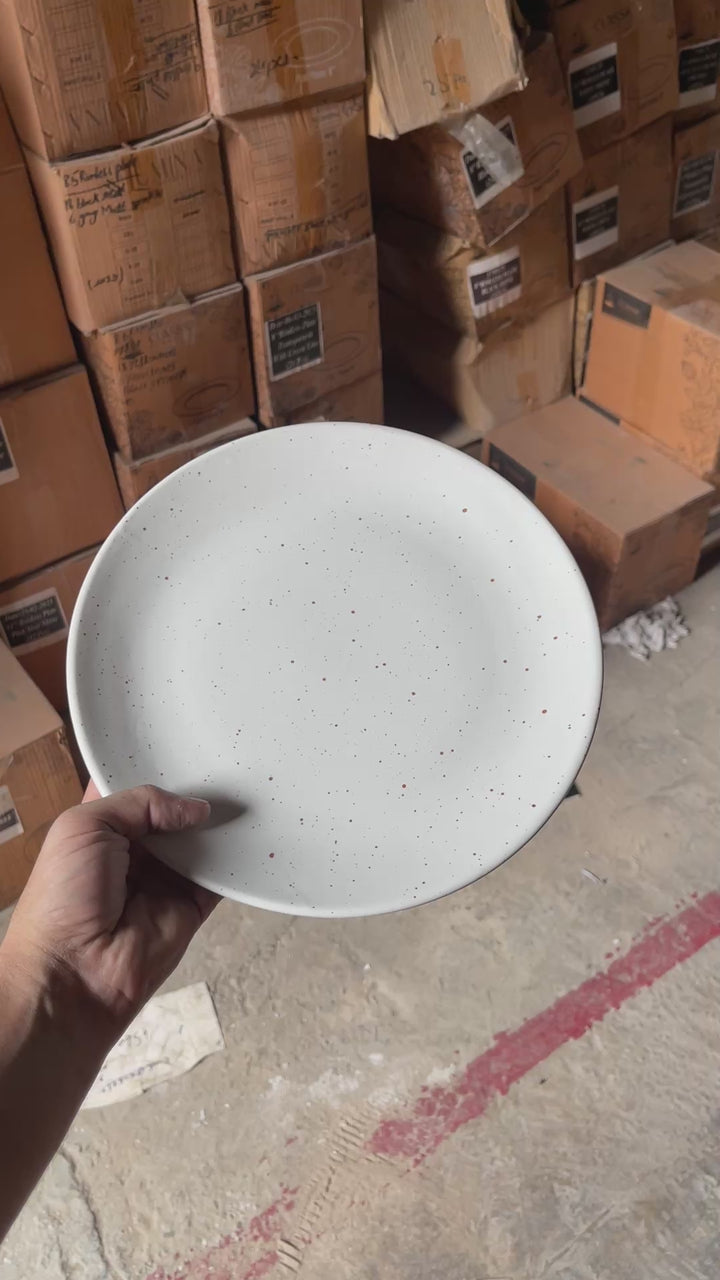 Leftover 10 inch Rimless Plate ( Snow Cocoa )